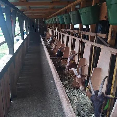 Eco Nature, Gite A La Ferme Vendays-Montalivet Exterior photo