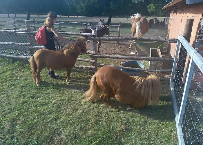 Eco Nature, Gite A La Ferme