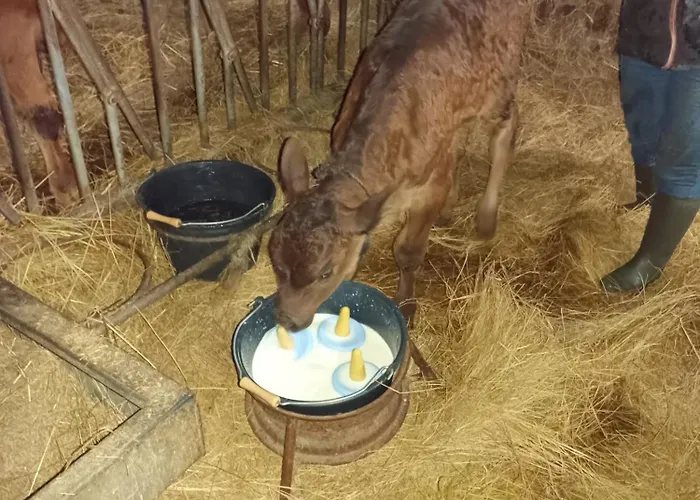 Eco Nature, Gite A La Ferme
