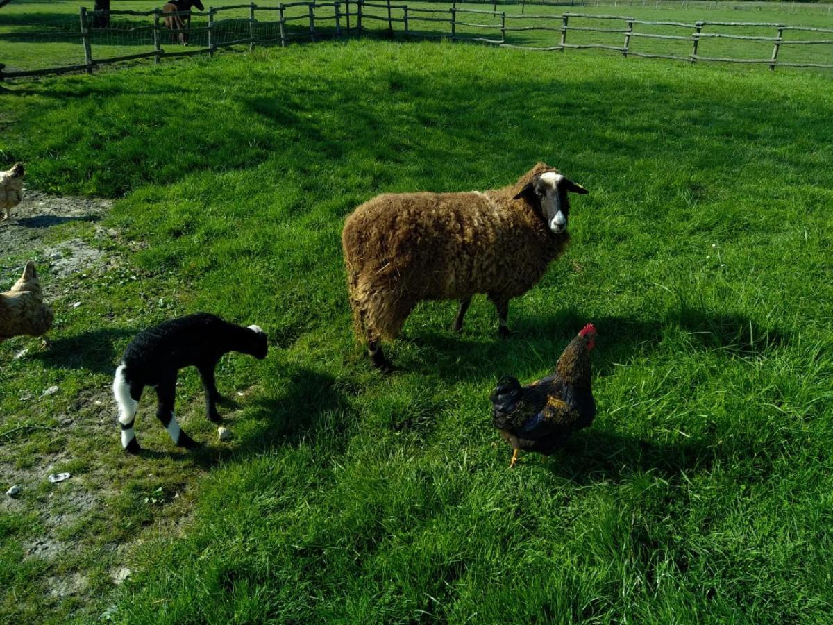 Holiday home Eco Nature, A La Ferme
