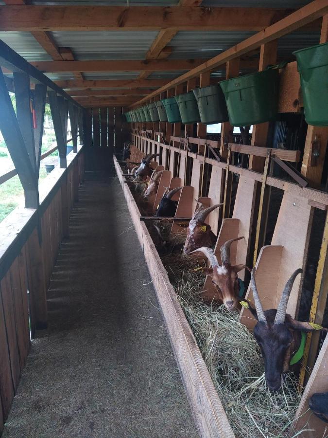 Holiday home Eco Nature, A La Ferme Vendays-Montalivet