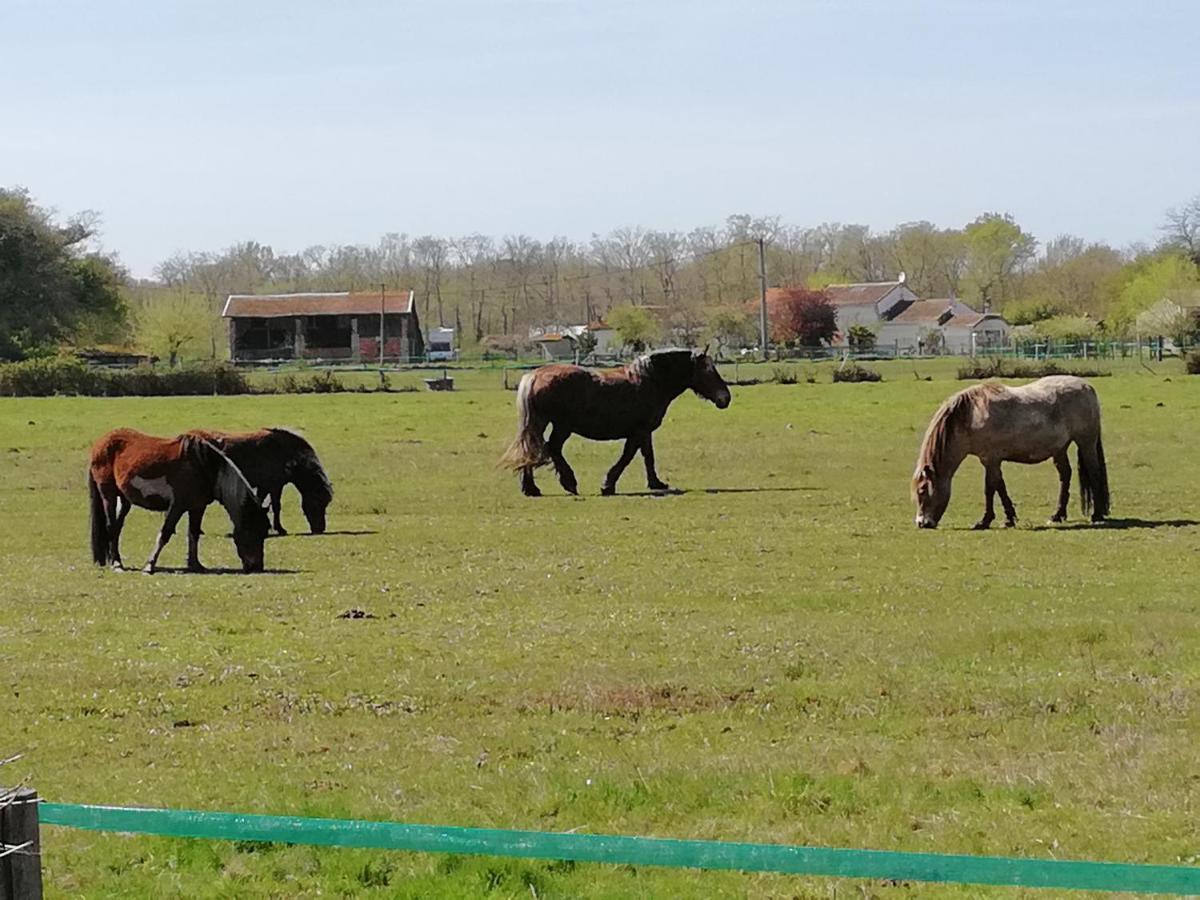 Holiday home Eco Nature, A La Ferme