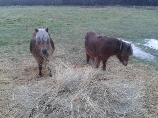 Eco Nature, A La Ferme Holiday home