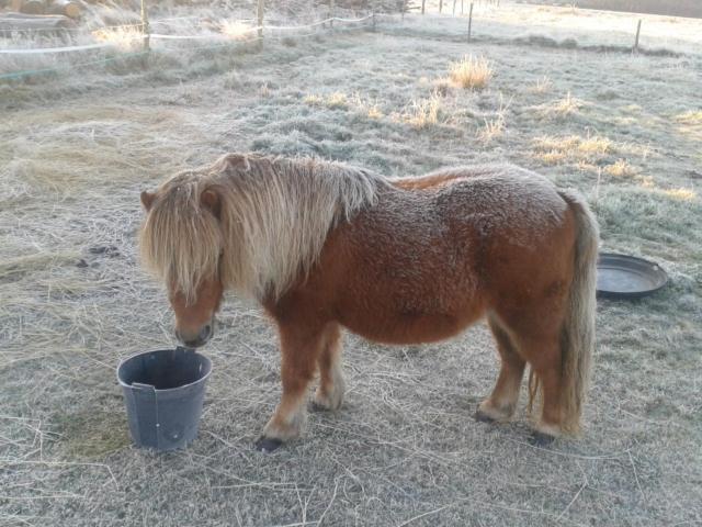 Eco Nature, A La Ferme