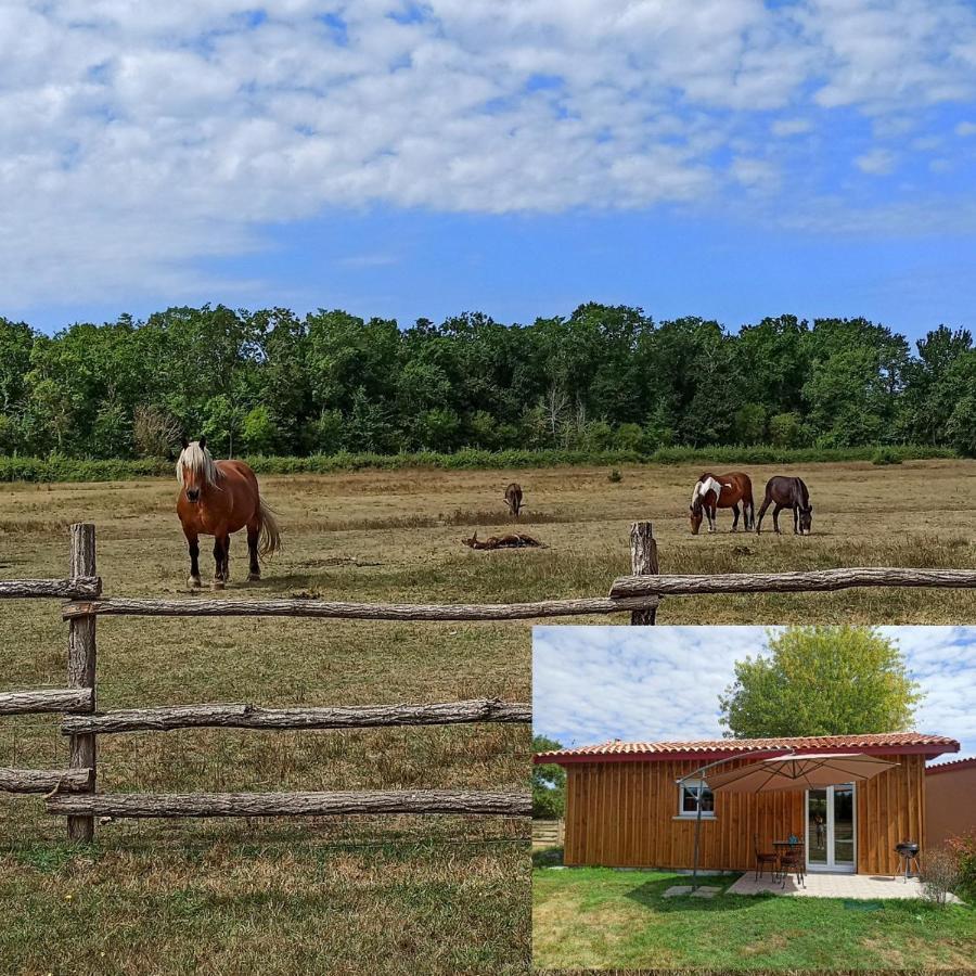 Holiday home Eco Nature, A La Ferme