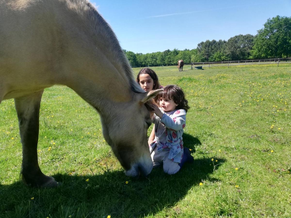 Eco Nature, A La Ferme *