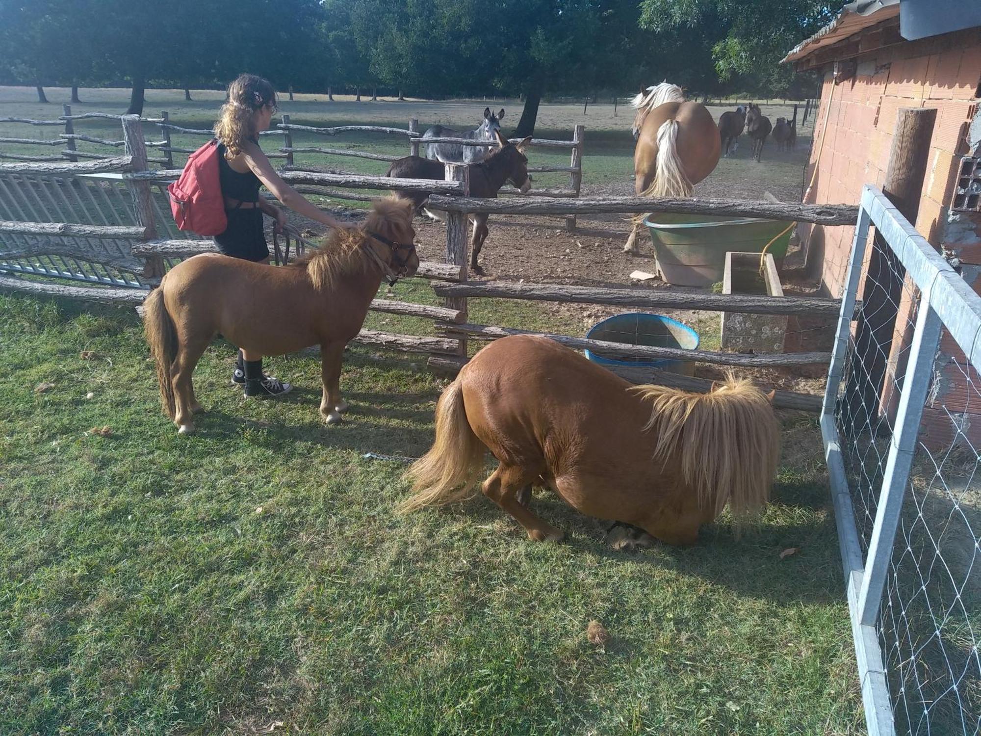 Eco Nature, A La Ferme Vendays-Montalivet