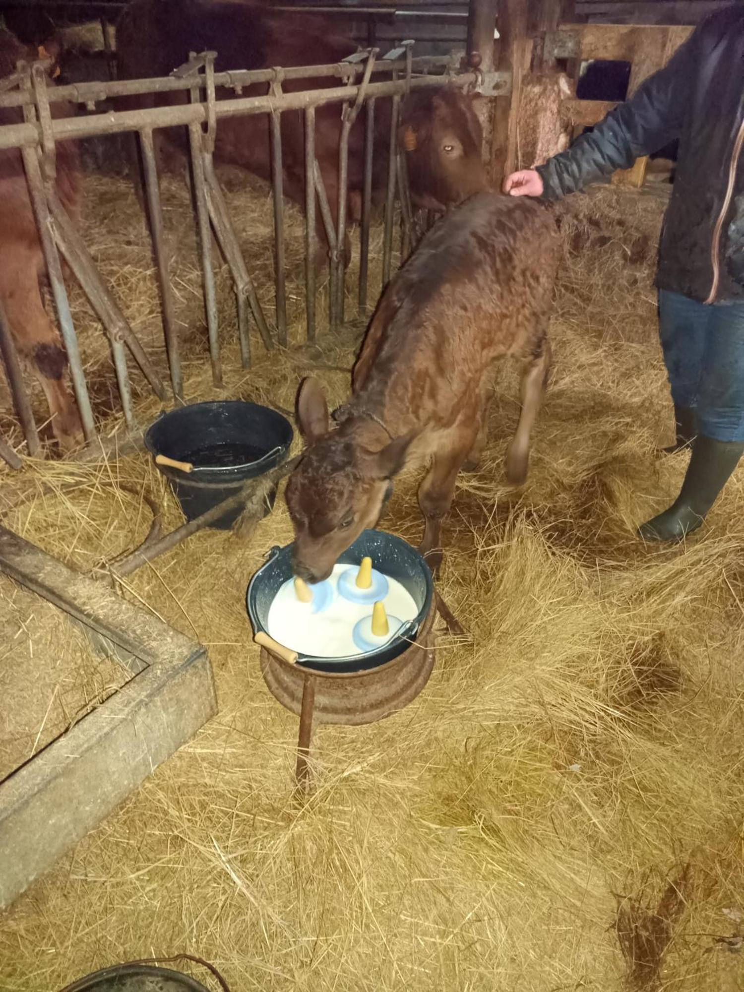 Holiday home Eco Nature, A La Ferme