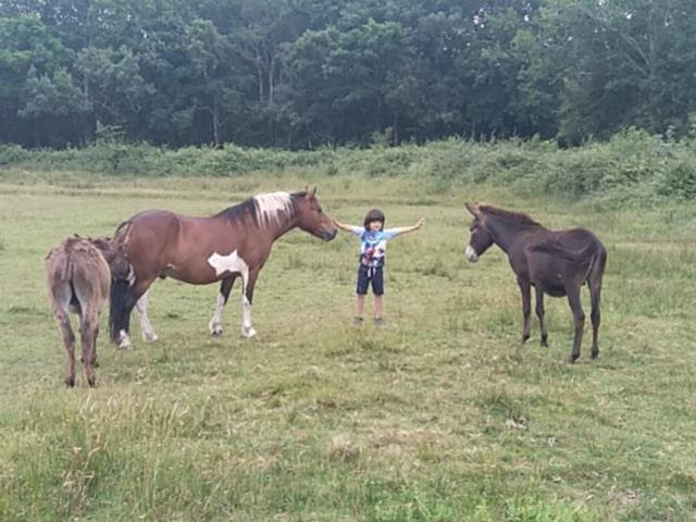 Eco Nature, A La Ferme Holiday home