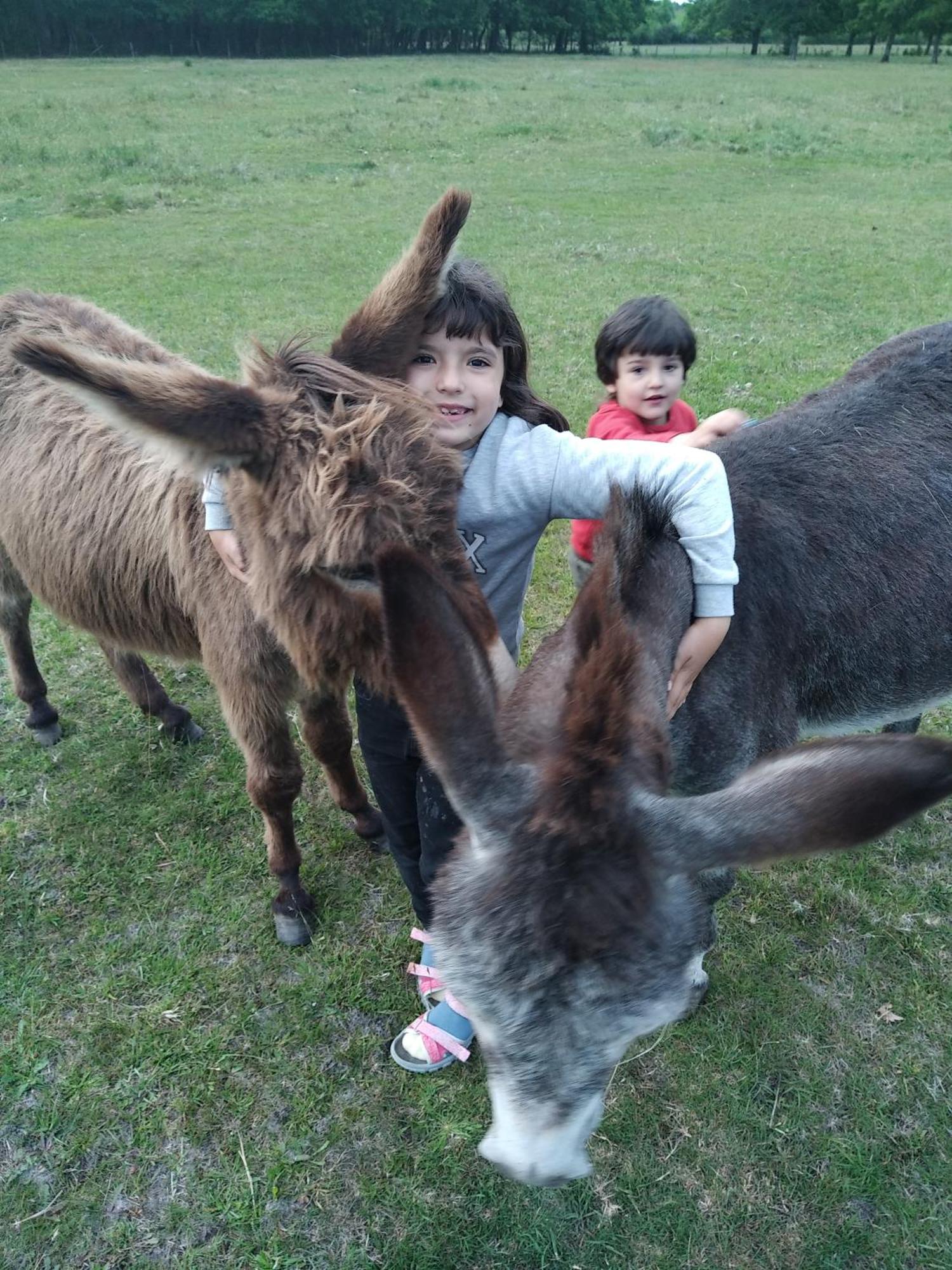 Eco Nature, A La Ferme Holiday home